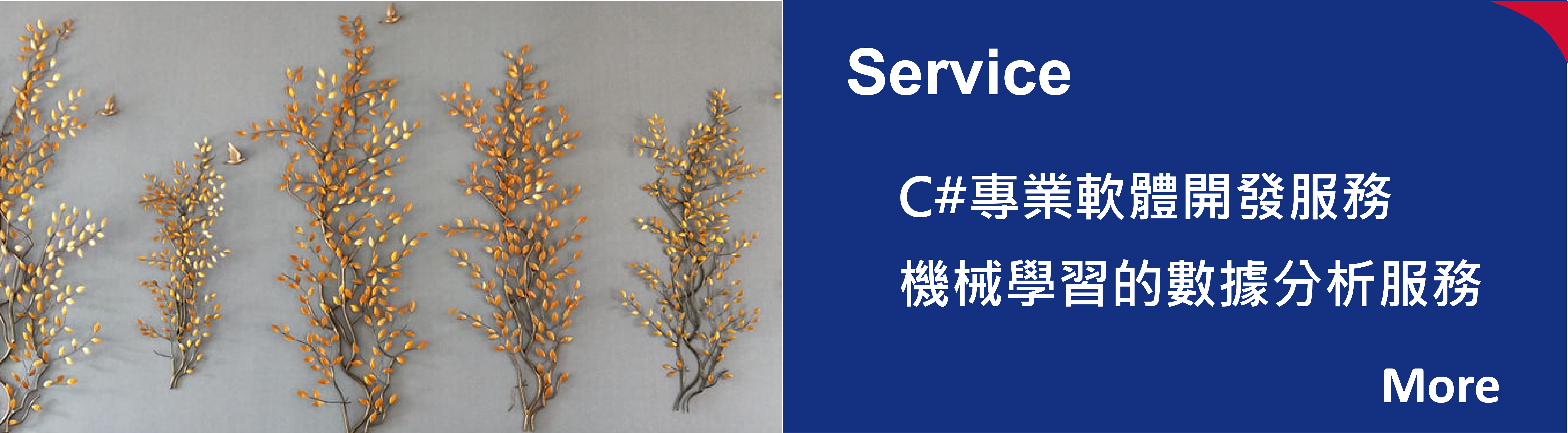 c#開發相關服務